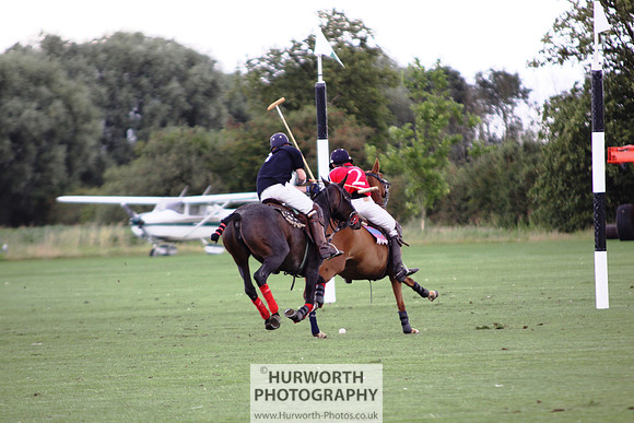 White Rose Polo 075