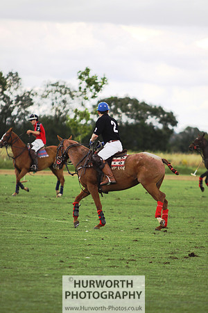 White Rose Polo 076