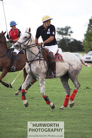 White Rose Polo 079