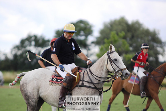 White Rose Polo 083