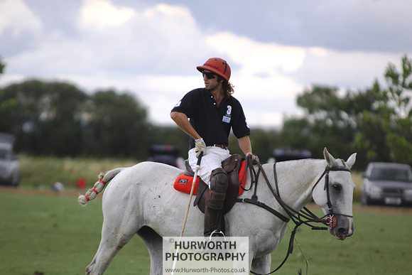 White Rose Polo 086