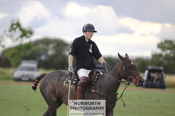 White Rose Polo 087