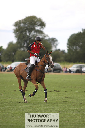 White Rose Polo 089