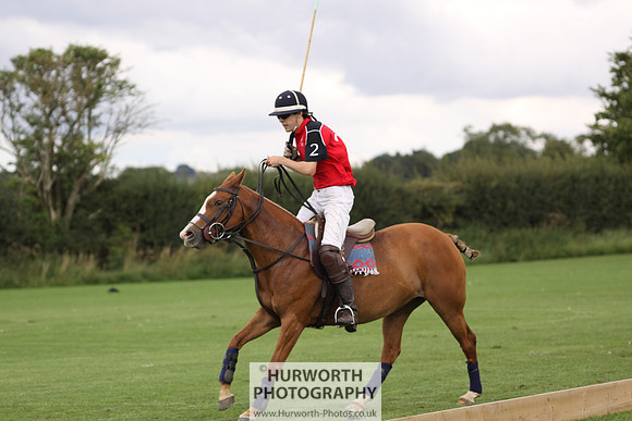 White Rose Polo 091