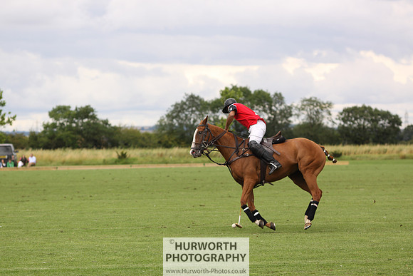 White Rose Polo 093