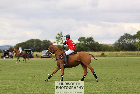 White Rose Polo 094