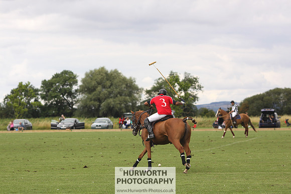 White Rose Polo 095