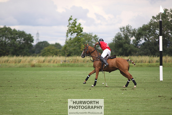White Rose Polo 096