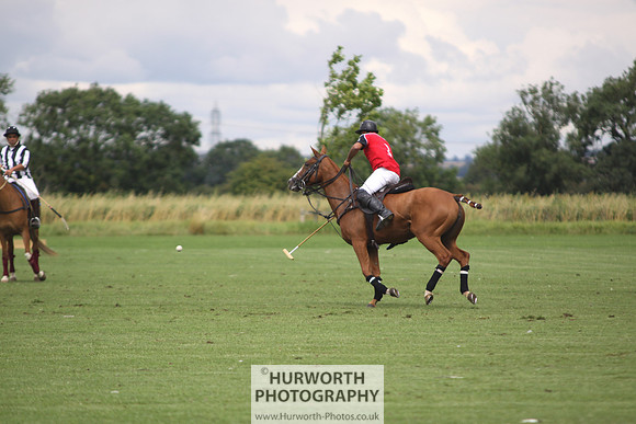 White Rose Polo 097