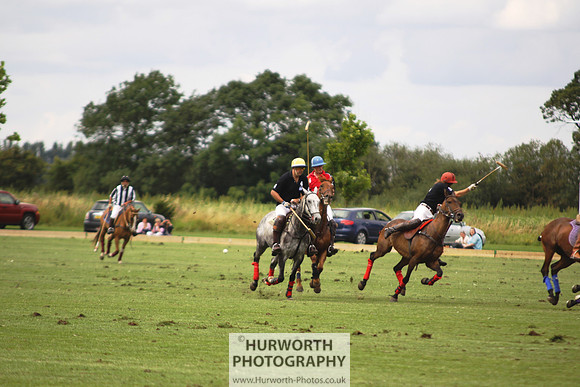 White Rose Polo 100