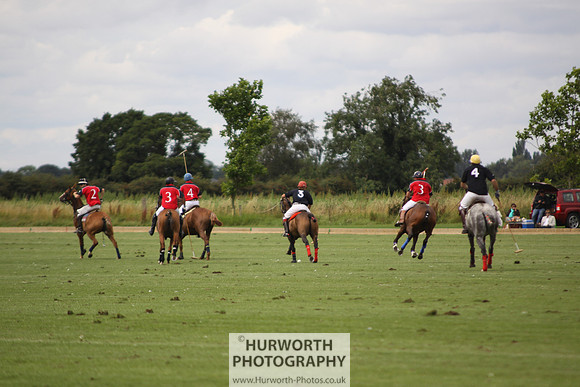 White Rose Polo 102