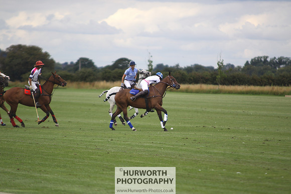 White Rose Polo 013