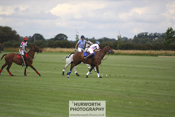 White Rose Polo 014