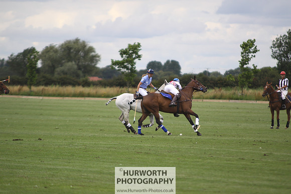 White Rose Polo 015