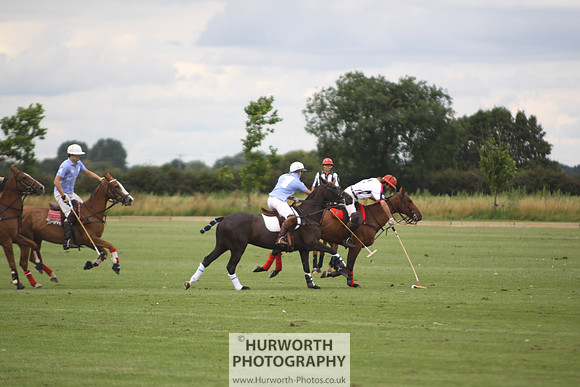 White Rose Polo 016
