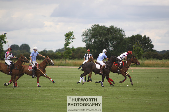 White Rose Polo 017