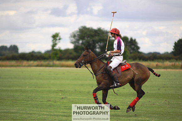 White Rose Polo 018