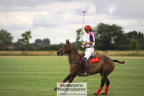 White Rose Polo 019