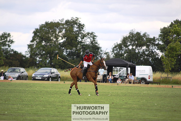 White Rose Polo 001