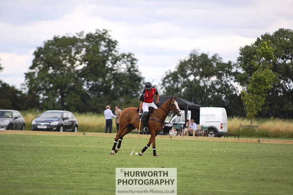 White Rose Polo 002