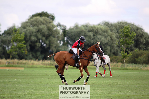 White Rose Polo 003