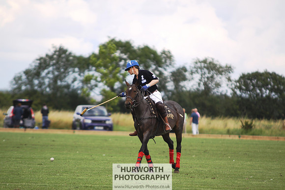 White Rose Polo 004