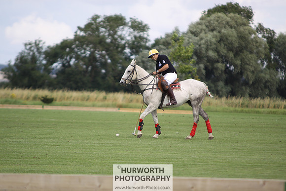 White Rose Polo 006