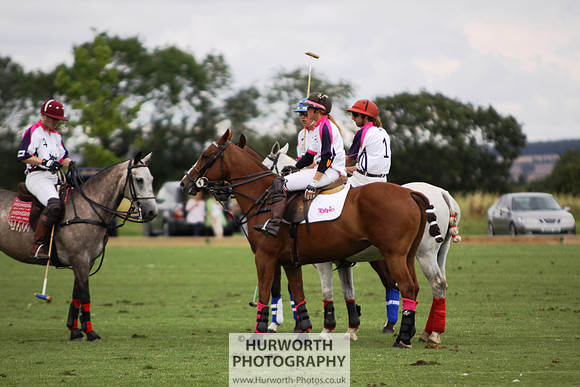 White Rose Polo 027