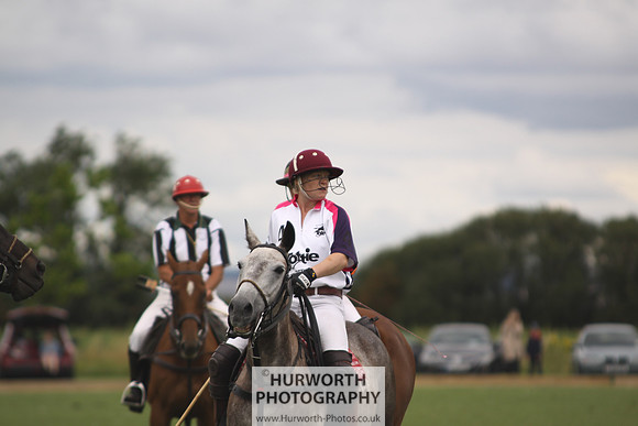 White Rose Polo 028