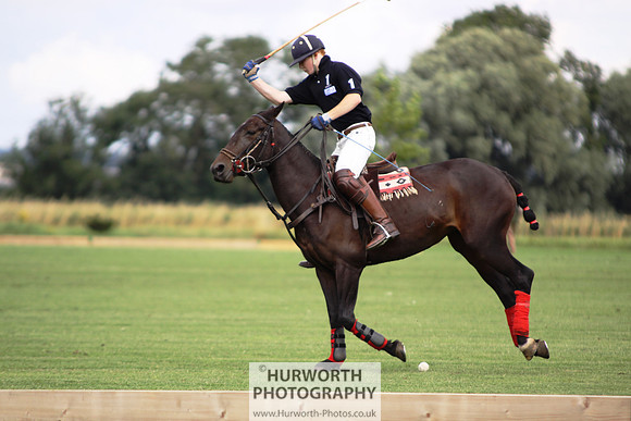 White Rose Polo 008