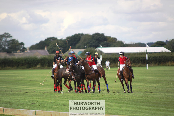 White Rose Polo 009