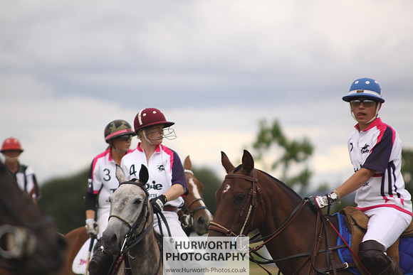 White Rose Polo 031