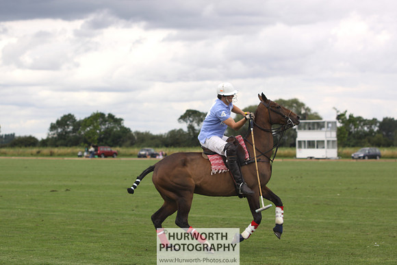 White Rose Polo 033