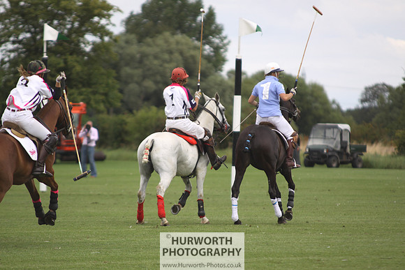 White Rose Polo 034