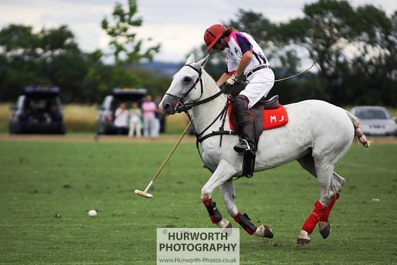 White Rose Polo 036