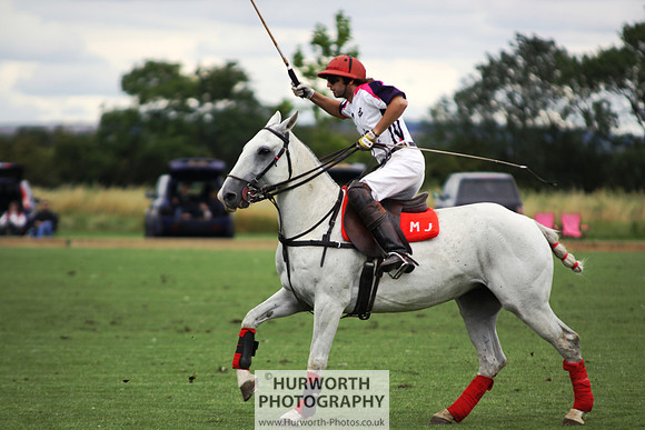 White Rose Polo 037