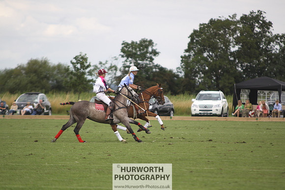 White Rose Polo 038