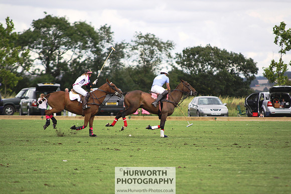 White Rose Polo 039