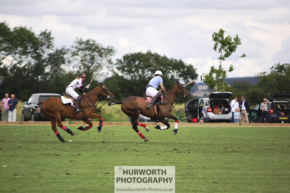White Rose Polo 040