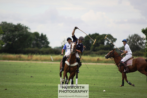 White Rose Polo 012