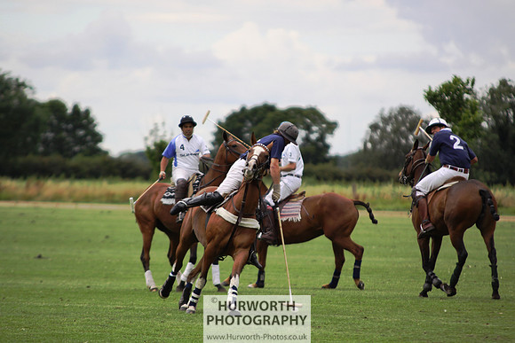 White Rose Polo 014