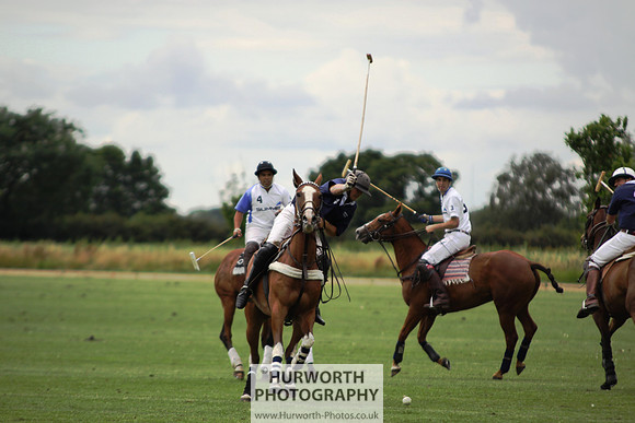 White Rose Polo 013
