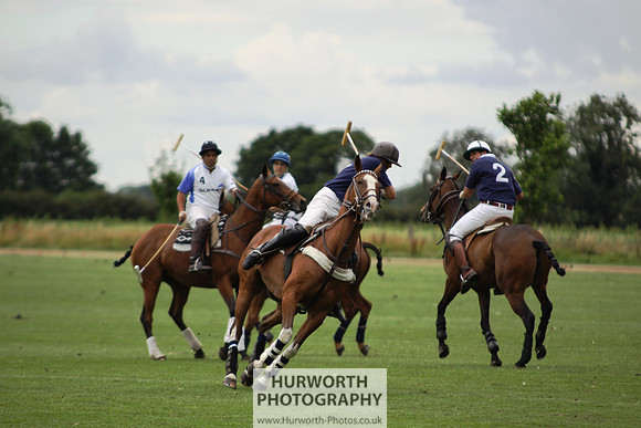 White Rose Polo 015