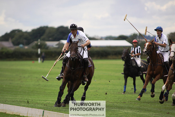 White Rose Polo 016