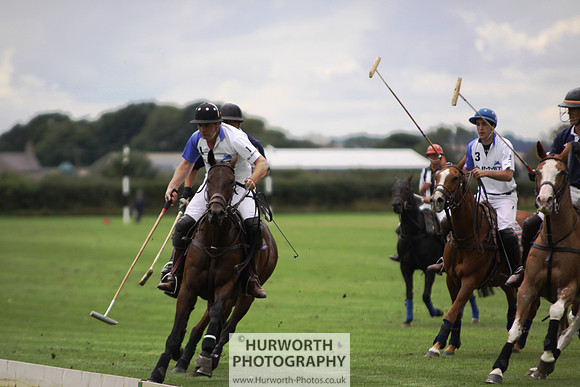 White Rose Polo 017