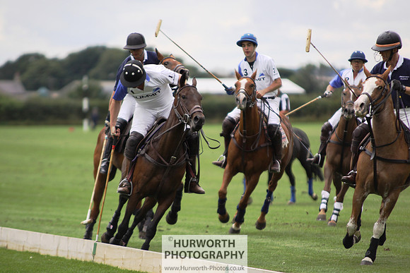 White Rose Polo 018