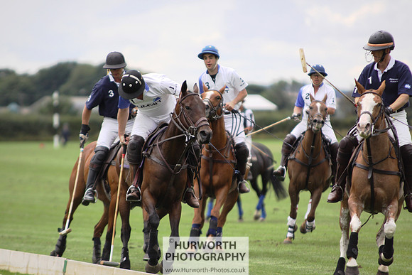 White Rose Polo 019