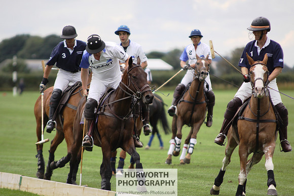 White Rose Polo 020
