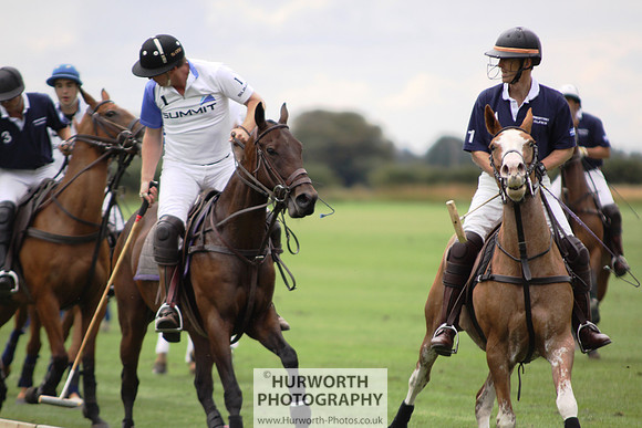White Rose Polo 021