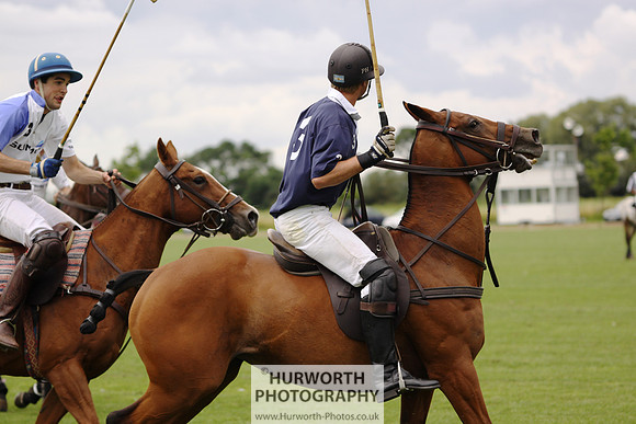 White Rose Polo 025